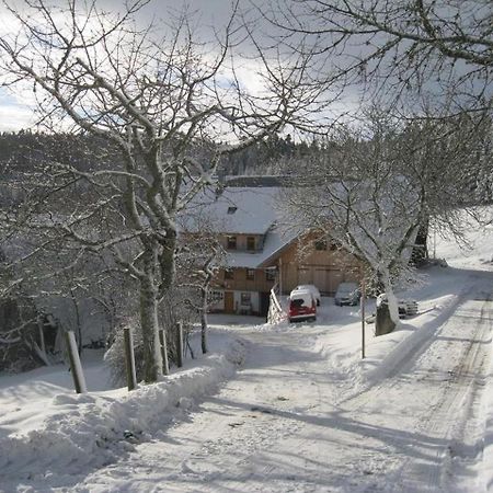 Sigmundenhof Apartment Schonach im Schwarzwald Exterior photo