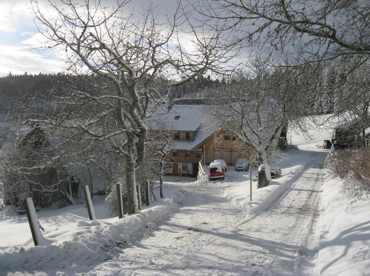 Sigmundenhof Apartment Schonach im Schwarzwald Exterior photo